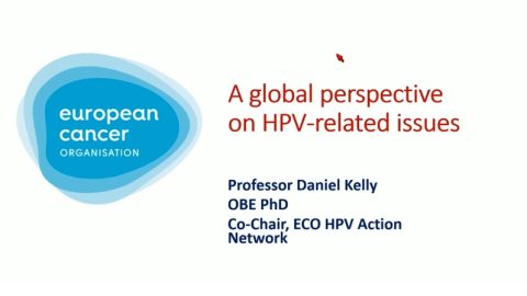 Global Perspective on HPV-Related Issues